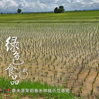 泰国香米 泰米源 真空包装5KG